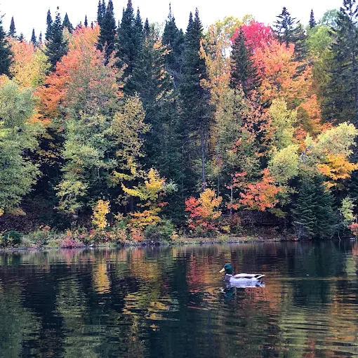 Lac automnal entouré d'une forêt colorée à Saint-Gabriel-de-Valcartier